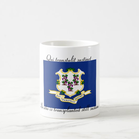 Mug Drapeau de l'état du Connecticut et devise 11 oz M (Centre)