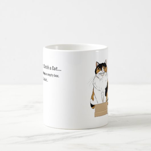 Mug Drôle de chat calicot beige humour dans une boîte (Centre)