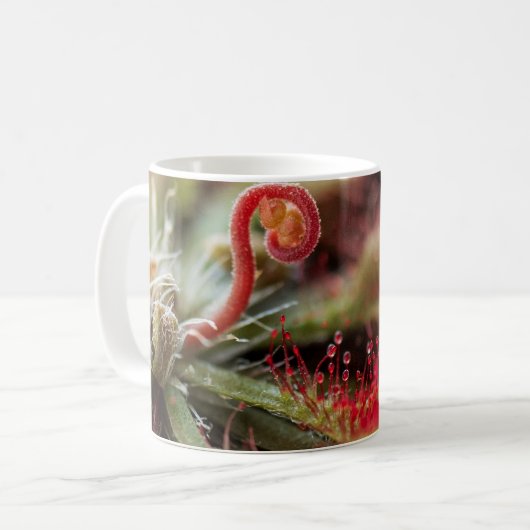 Mug Drosera Capillaris (Devant gauche)