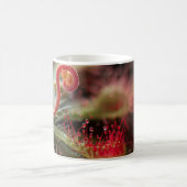 Mug Drosera Capillaris (Centre)