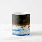 MUG DSC00131.JPG (Centre)