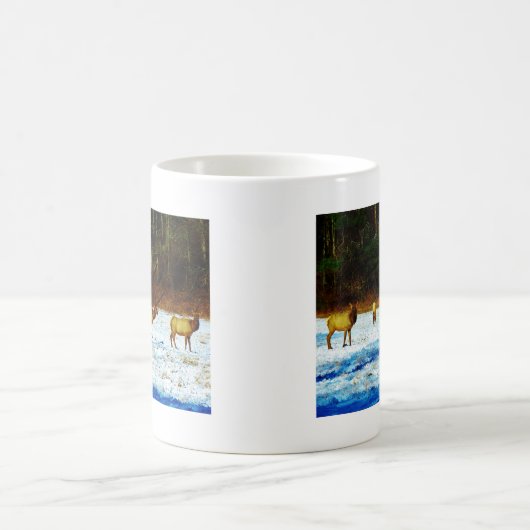 MUG DSC00131.JPG (Centre)