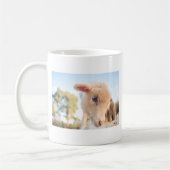 MUG _DSC2491 (Gauche)