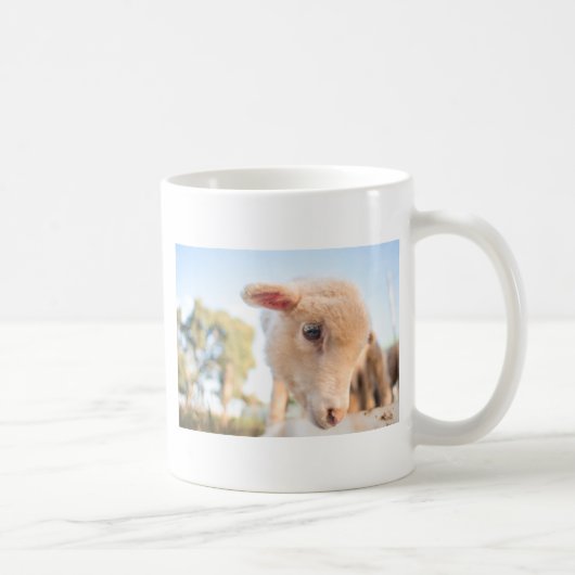 MUG _DSC2491 (Droite)