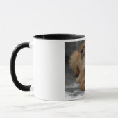 Mug DSC_0014a, BRUXELLES, GRIFFON (Gauche)