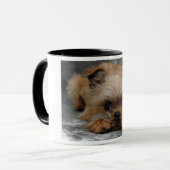 Mug DSC_0014a, BRUXELLES, GRIFFON (Devant gauche)