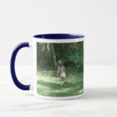 Mug DSC_0266_edited, DSC_0042_edited, les fonds ! (Gauche)