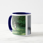 Mug DSC_0266_edited, DSC_0042_edited, les fonds ! (Devant gauche)