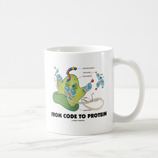 Mug Du code à la protéine (synthèse de protéine) (Droite)