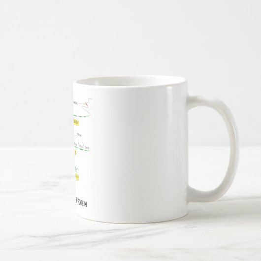 Mug Du gène à la protéine (Droite)