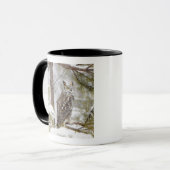 Mug Duc (Devant gauche)