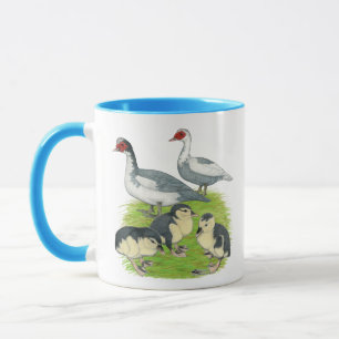 Mug Duck Pied Muscovy Family
