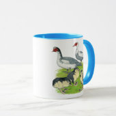 Mug Duck Pied Muscovy Family (Devant droit)
