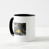 Mug Duckies en caoutchouc japonais (Devant gauche)