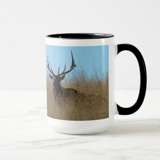 Mug E26 Bull Elk Laying in the Weeds (Droite)