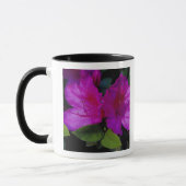 Mug É.-U. Géorgie, Savannah. Azalée en fleurs. (Gauche)
