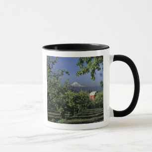 Mug É.-U., Oregon, près de Hood River Mt. Hood avec