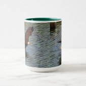 Mug Eagle chauve mûr chassant l'art de faune (Centre)