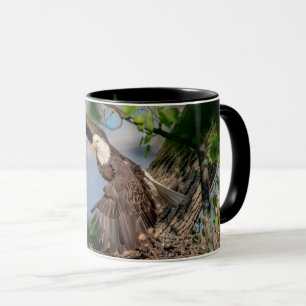 Mug Eagle chauve partant du nid