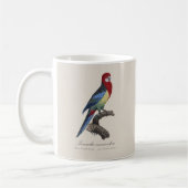 Mug Eastern rosella or Platycercus eximius parakeet (Gauche)