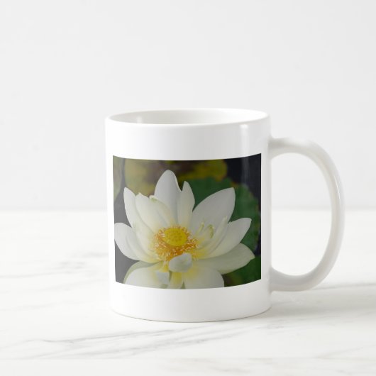 Mug Eau de crème Lily02.JPG (Droite)