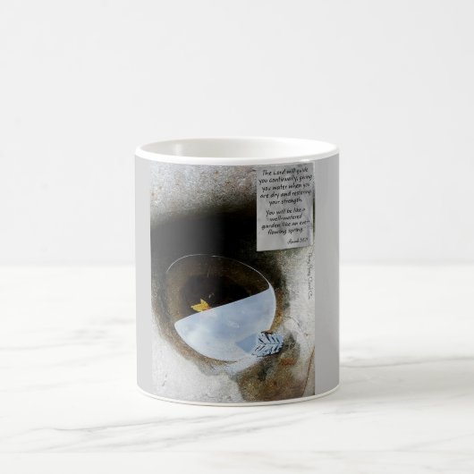 Mug Eau vive (Centre)