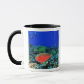 Mug Écart de poisson perroquet (Gauche)