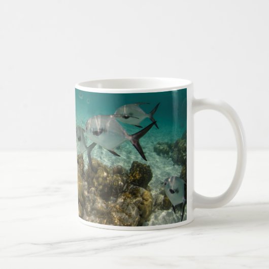 Mug École de poissons permis (Droite)