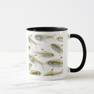 Mug École de tétra poissons de rayon X (Pristella