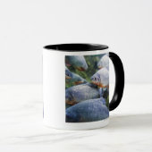 Mug École des piranhas (nattereri de Pygocentrus) (Devant droit)