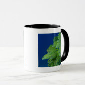 Mug École du français bluestriped et des grognements (Devant droit)