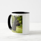 Mug Écossais Terrier (Devant gauche)