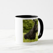 Mug Écossais Terrier (Devant droit)