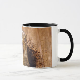Mug Écureuil choqué