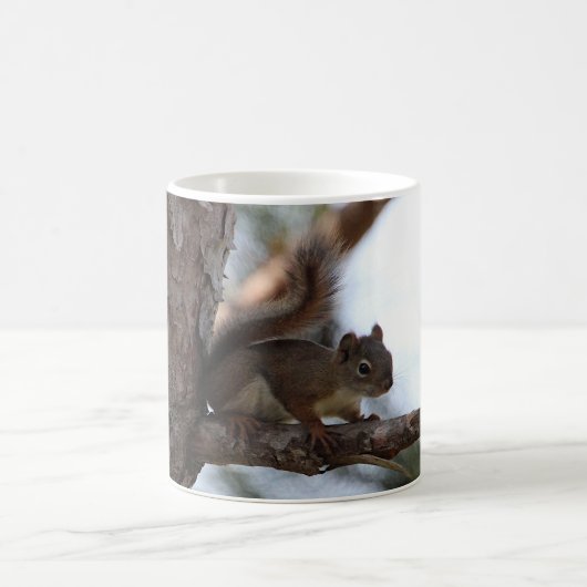 Mug Écureuil dans un pin (Centre)