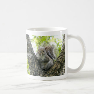 Mug Écureuil d'arbre