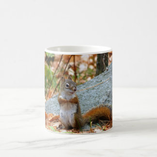 Mug Écureuil de pin