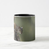 Mug Écureuil gris de l'Est, ou écureuil gris (Centre)