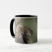 Mug Écureuil gris de l'Est, ou écureuil gris (Devant gauche)