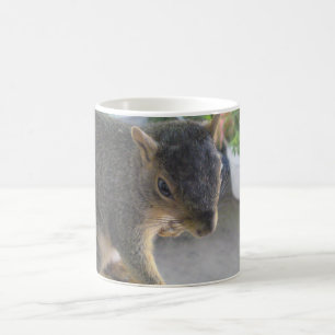 Mug Écureuil gros plan