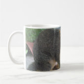 Mug Écureuil gros plan (Gauche)