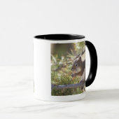 Mug Écureuil mangeant un cône 2 de pin (Devant droit)