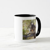 Mug Écureuil mangeant un cône de pin (Devant droit)