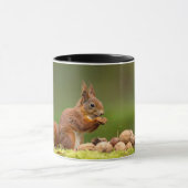 Mug écureuil mangeant une noix (Centre)