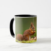 Mug écureuil mangeant une noix (Devant gauche)