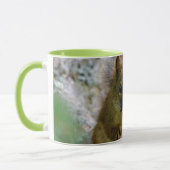 Mug Écureuil roux en Alberta – Faune forestière (Gauche)