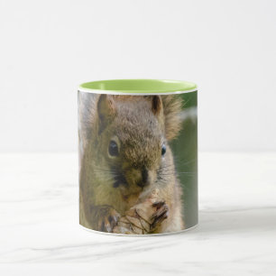 Mug Écureuil roux en Alberta – Faune forestière