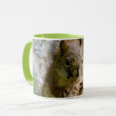 Mug Écureuil roux en Alberta – Faune forestière (Devant gauche)