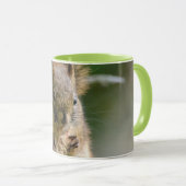 Mug Écureuil roux en Alberta – Faune forestière (Devant droit)