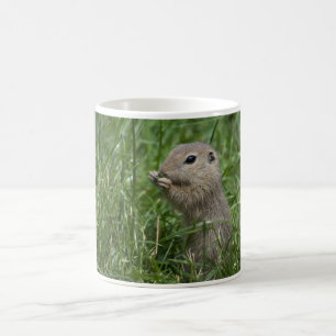 Mug écureuil terrestre européen